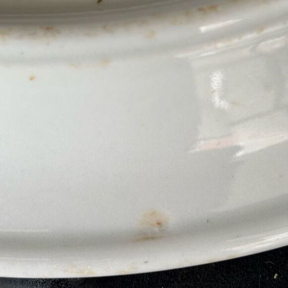 Jackson China B.P.O.E. 349 Elks Lodge DuBois Pa Sectional 10 1/2”  Plate - Picture 9 of 11